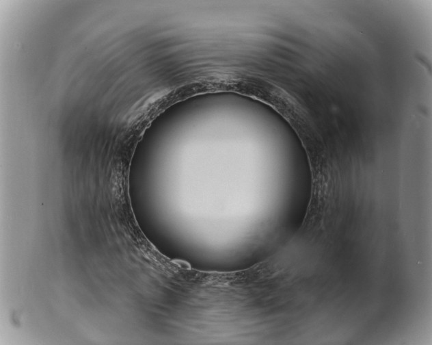 X0000102230773200808011225