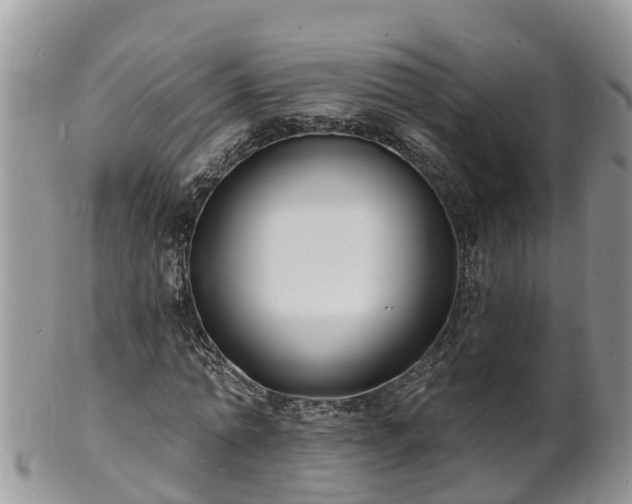 X0000102230774200808011225