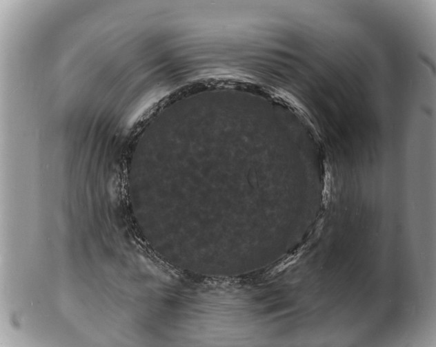 X0000102230775200808011225