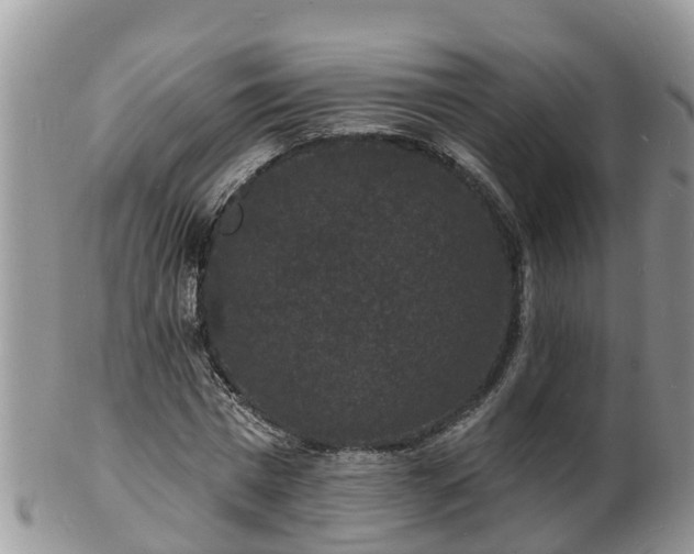 X0000102230777200808011225