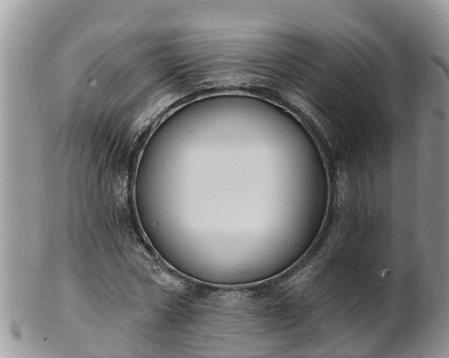 X0000102230778200808011224