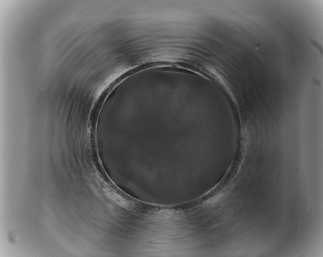X0000102230779200808011224