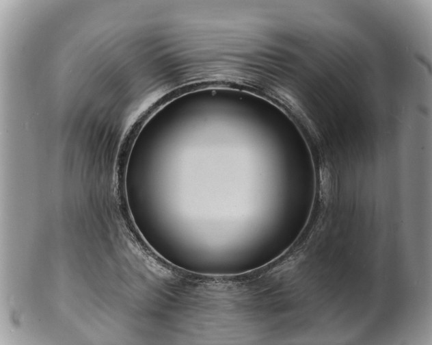 X0000102230780200808011224