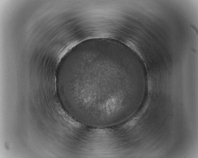X0000102230781200808011224