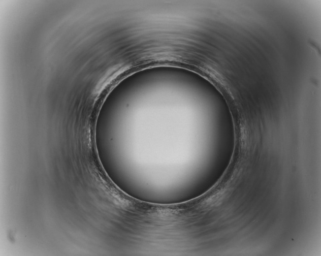 X0000102230782200808011224