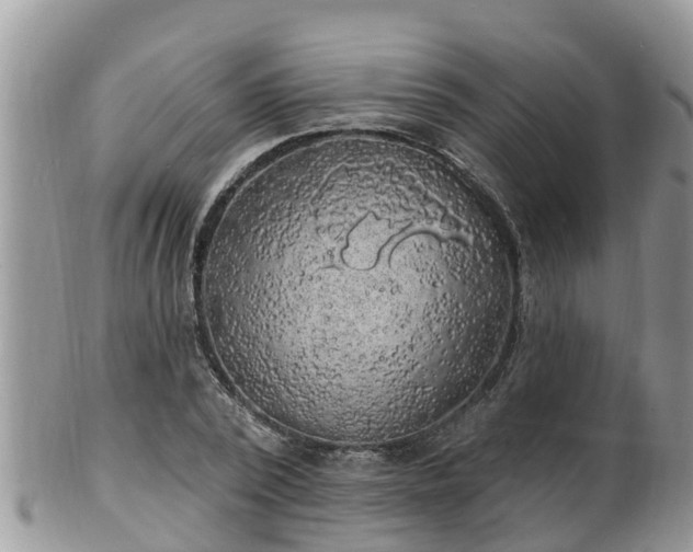 X0000102230784200808011224
