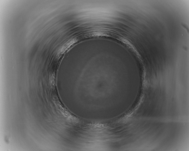 X0000102230785200808011224