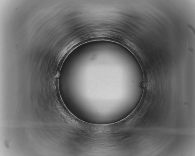 X0000102230786200808011224