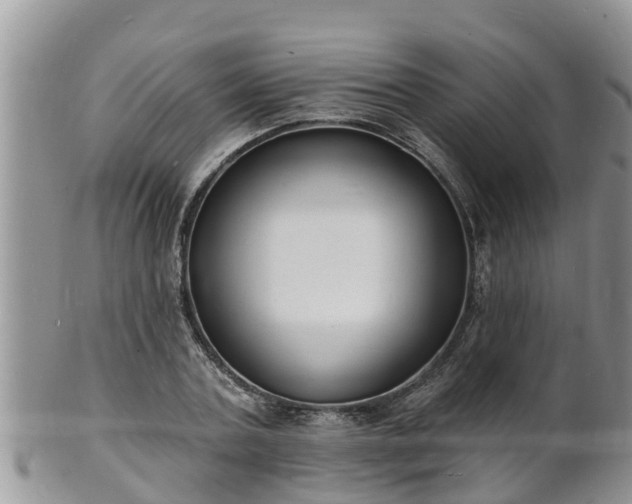 X0000102230787200808011224