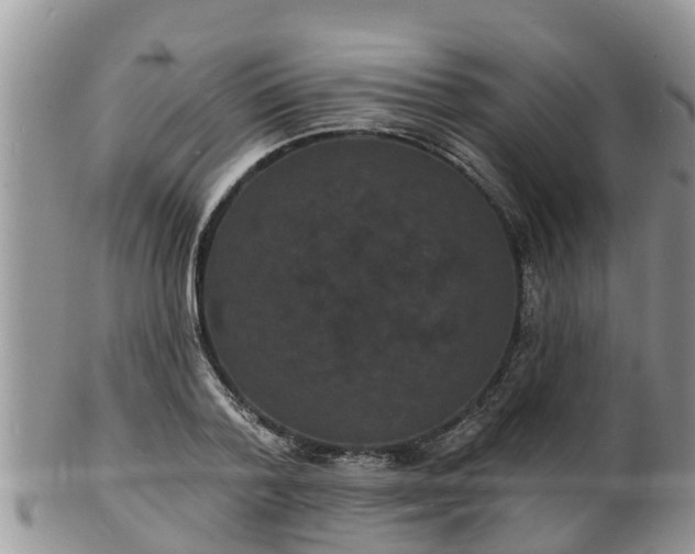 X0000102230788200808011224