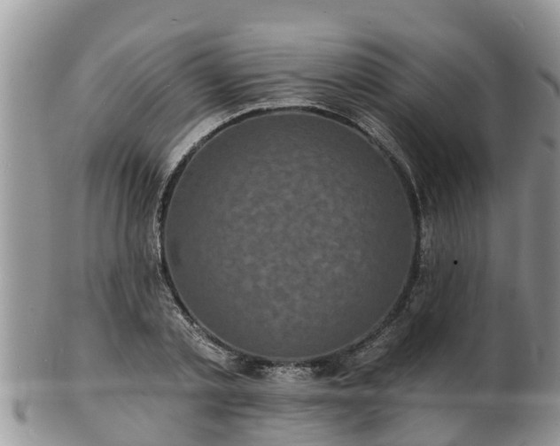 X0000102230789200808011224