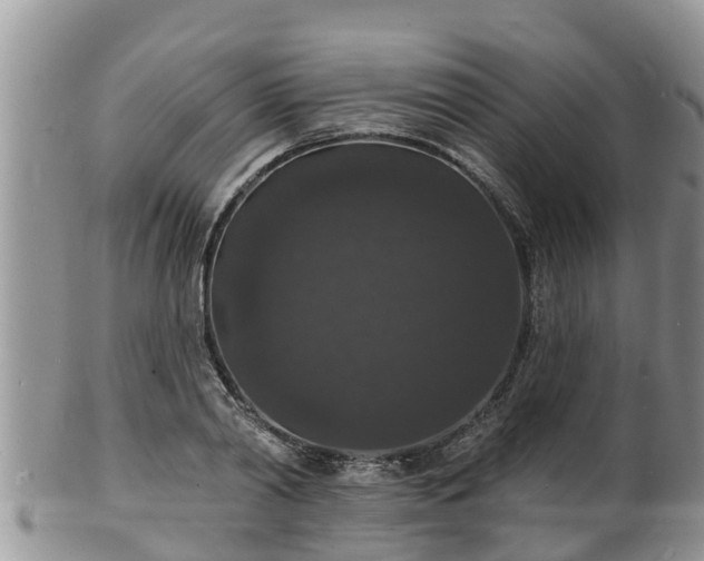 X0000102230790200808011224