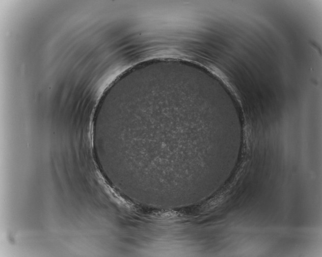 X0000102230791200808011224