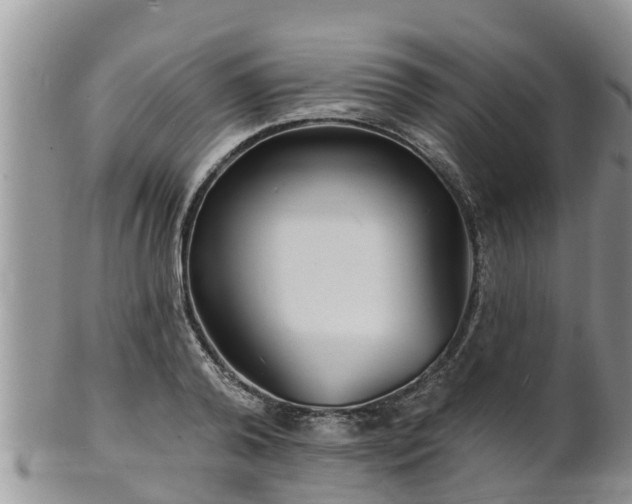 X0000102230792200808011224