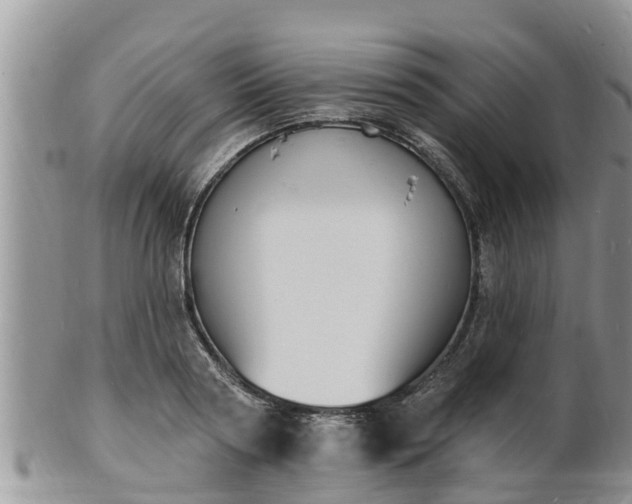 X0000102230794200808011224