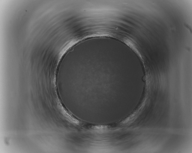 X0000102230797200808011224