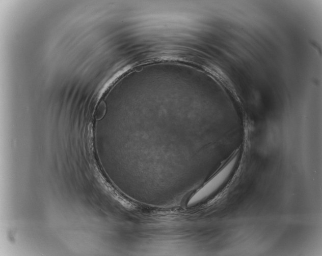 X0000102230798200808011224