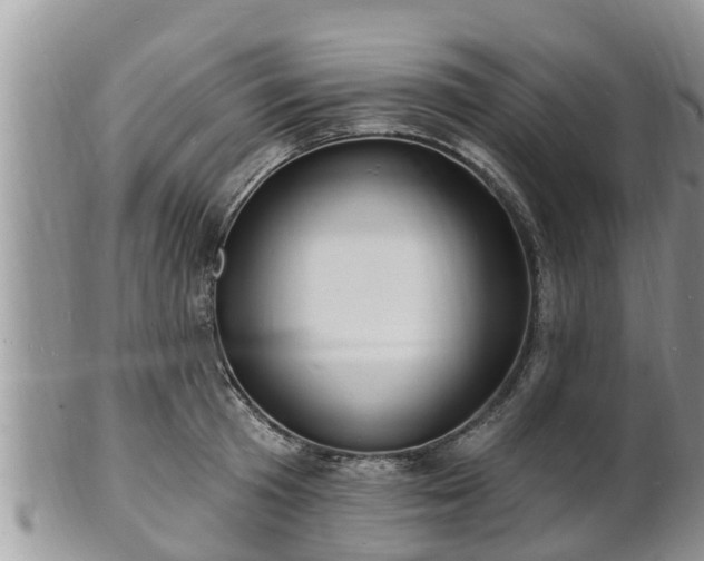 X0000102230801200808011224