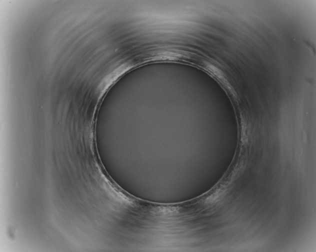 X0000102230802200808011224