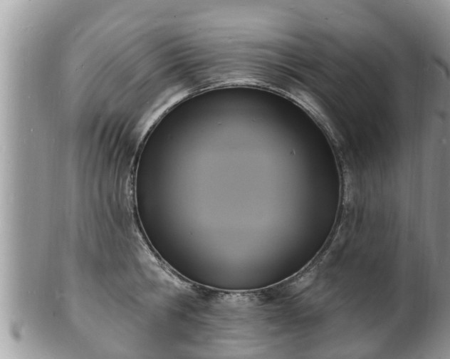X0000102230806200808011224