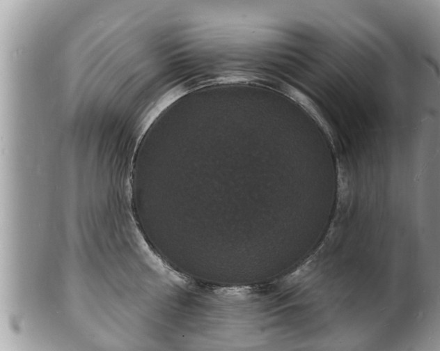 X0000102230810200808011224