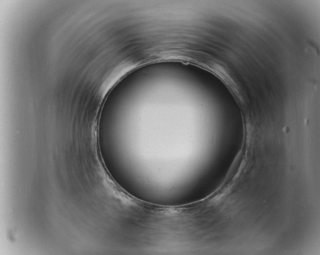 X0000102230814200808011224