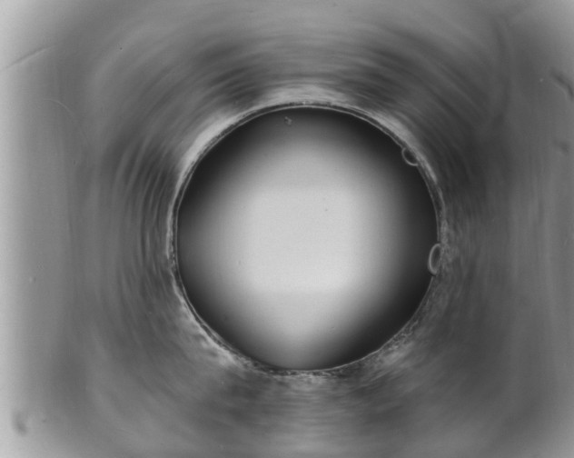 X0000102230815200808011224