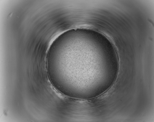 X0000102230816200808011224