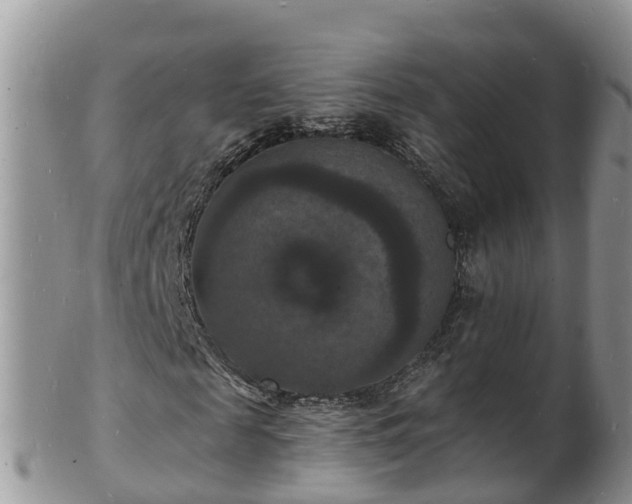 X0000102230817200808011223