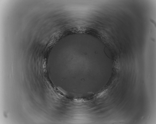 X0000102230818200808011223