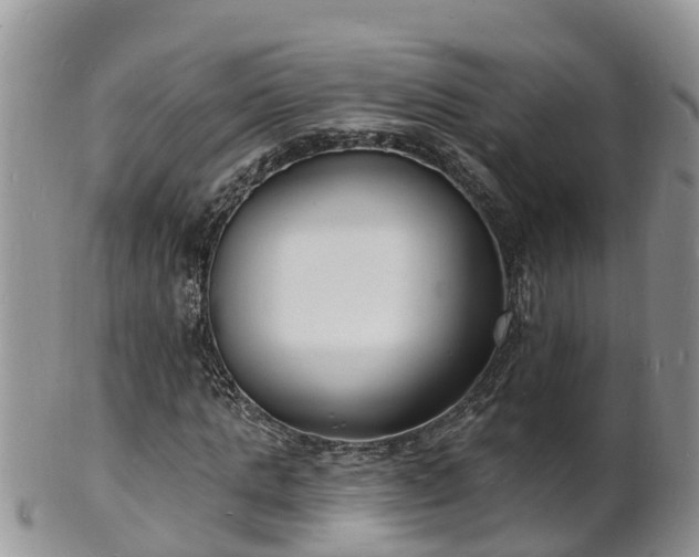 X0000102230821200808011223