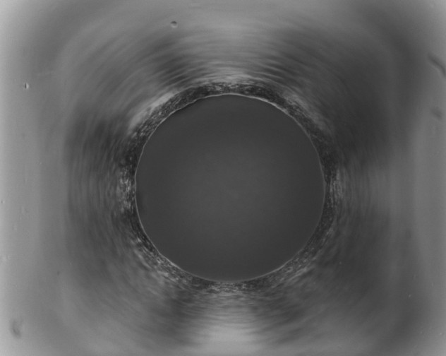 X0000102230822200808011223