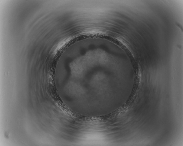 X0000102230823200808011223
