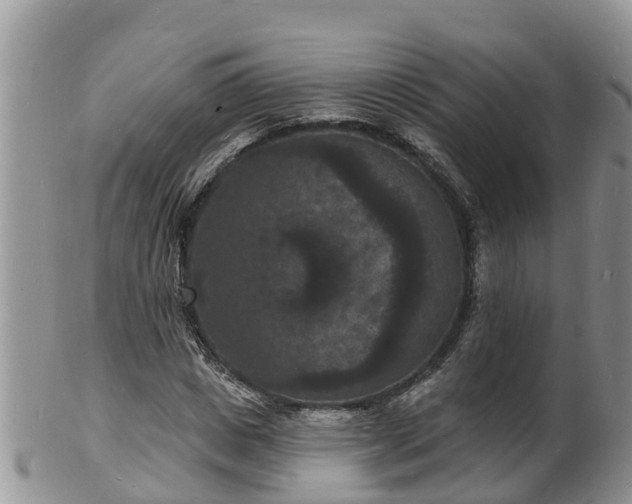 X0000102230825200808011223