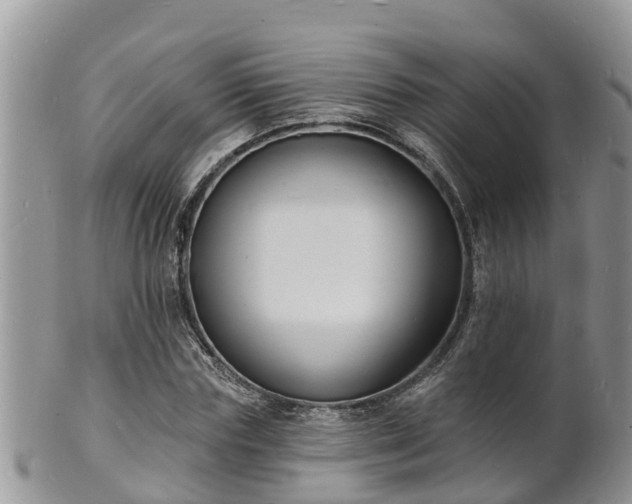 X0000102230827200808011223