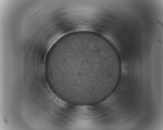 X0000102230828200808011223