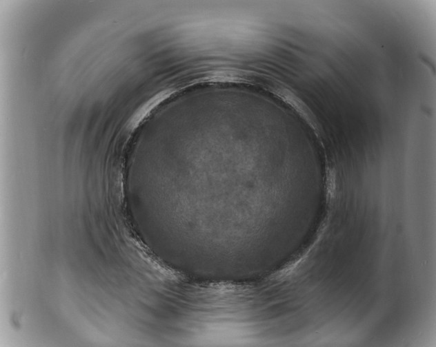X0000102230829200808011223