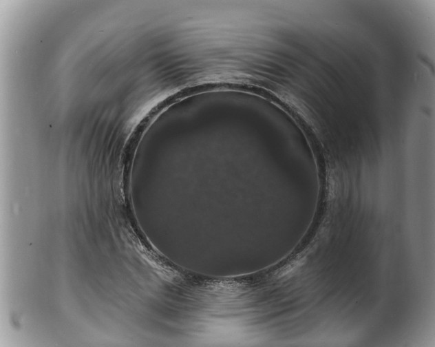 X0000102230830200808011223