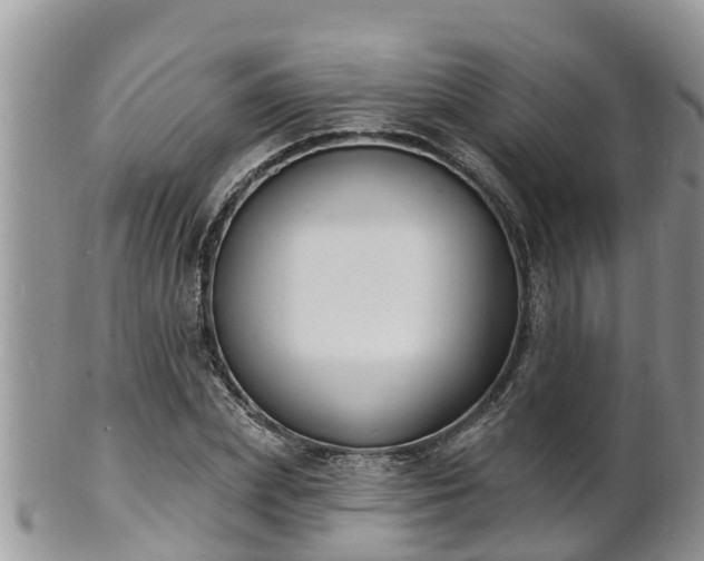 X0000102230831200808011223