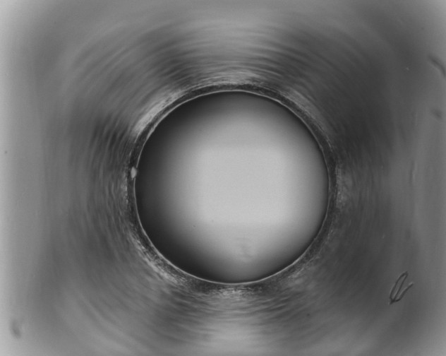 X0000102230834200808011223