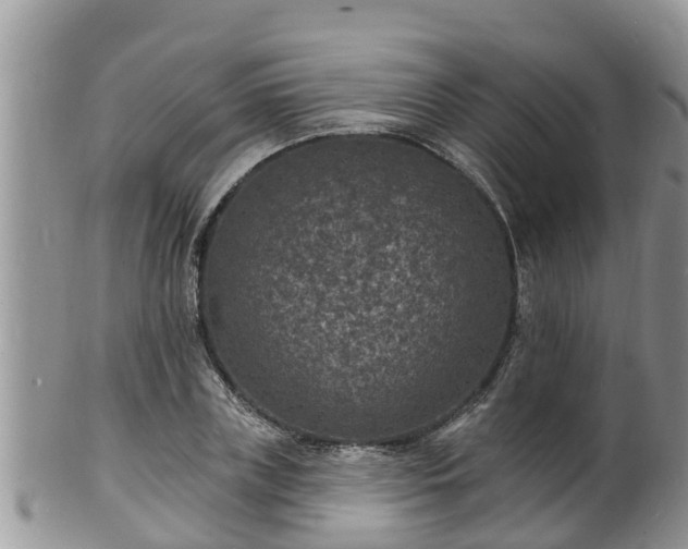X0000102230835200808011223