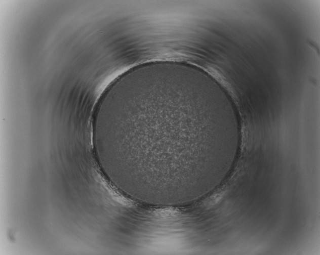 X0000102230838200808011224