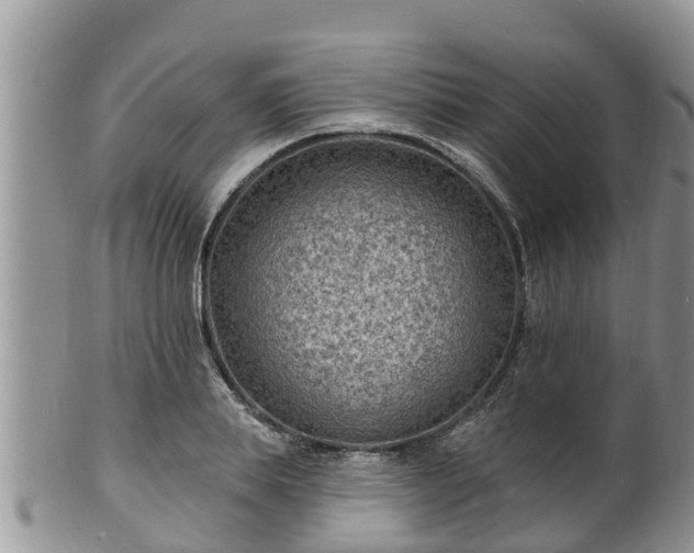 X0000102230839200808011224