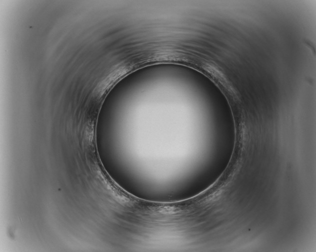 X0000102230841200808011224