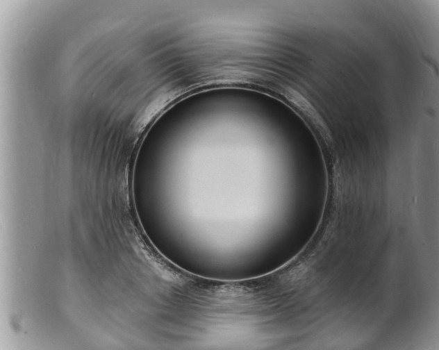 X0000102230842200808011224