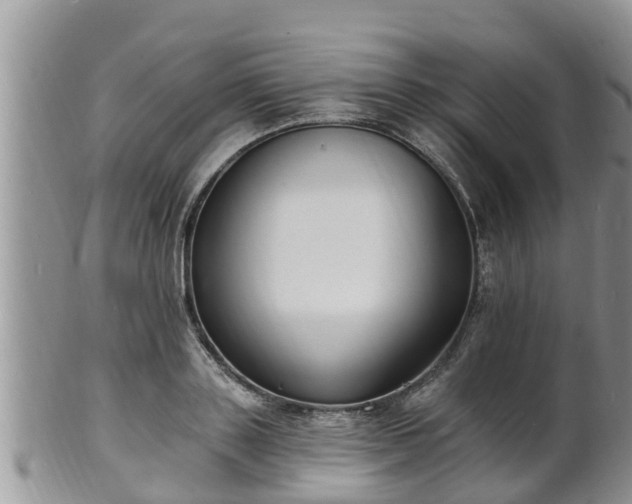 X0000102230843200808011224