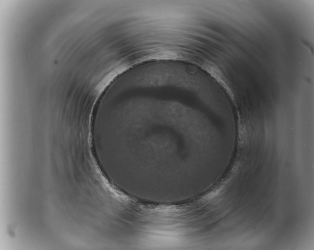 X0000102230845200808011224