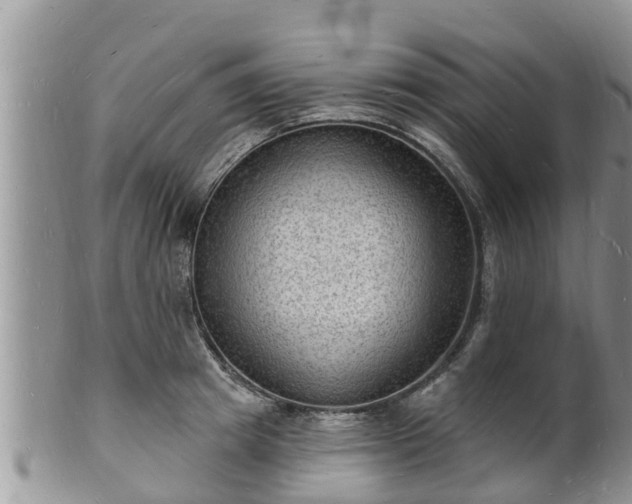 X0000102230849200808011224