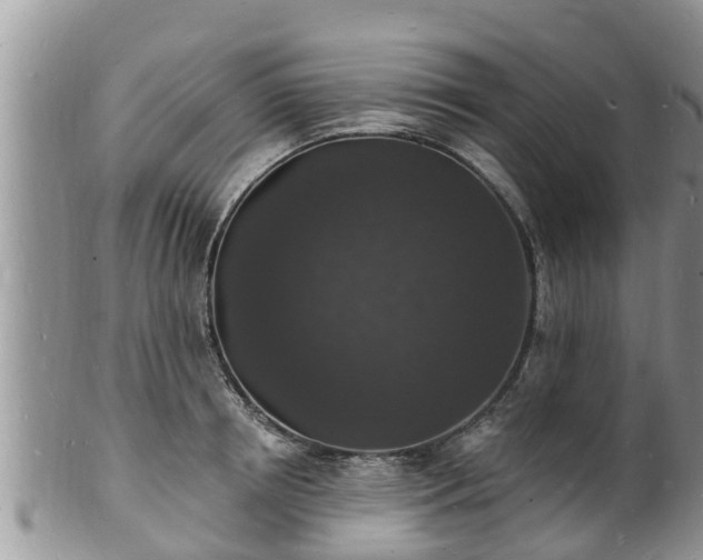 X0000102230850200808011224