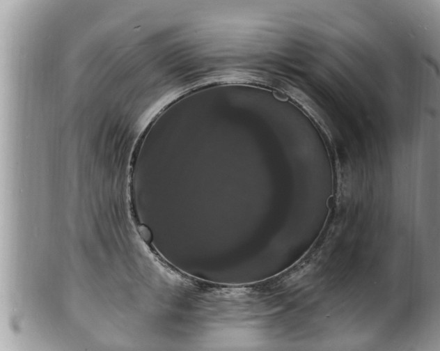 X0000102230853200808011224